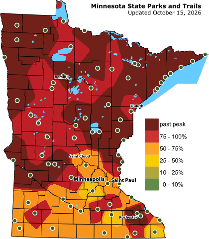 Minnesota DNR statewide fall leaf-color map, dated October 15, 2026. The DNR color legend is included in the image.